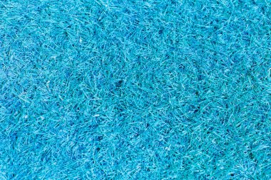 çim closeup detay doku arka plan