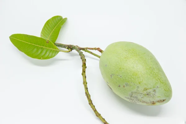 Mango Auf Dem Weißen Hintergrund Nahaufnahme Obst — Stockfoto