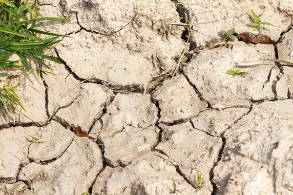 Textura Tierra Agrietada Detalle Fondo — Foto de Stock