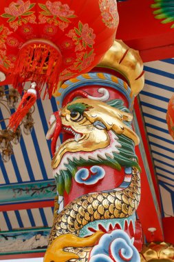 Dragon kutup closeup ayrıntı sanat