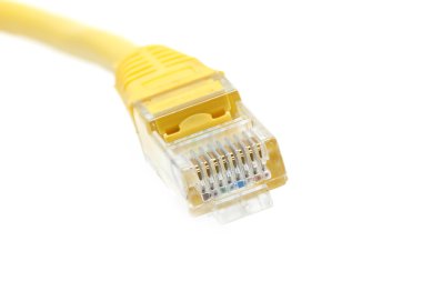 Lan kablosu closeup ayrıntı nesnesi izole