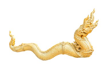 Naga beyaz arka plan detay sanat izole