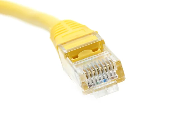 Cable Lan Primer Plano Detalle Objeto Aislado — Foto de Stock