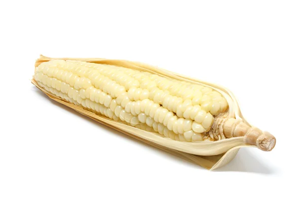 Corn Vit Bakgrund Närbild Detalj Vegetabiliska — Stockfoto