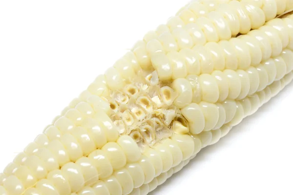 Fondo blanco de maíz —  Fotos de Stock
