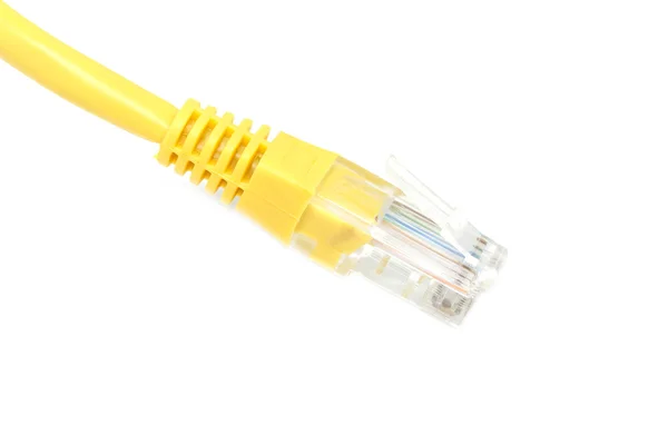 LAN cable closeup — Stock Photo, Image