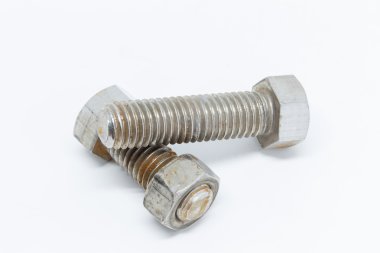 beyaz arkaplanda vida