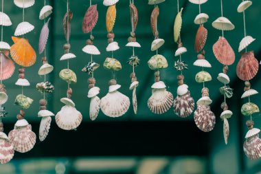 Mobile Shell sanat