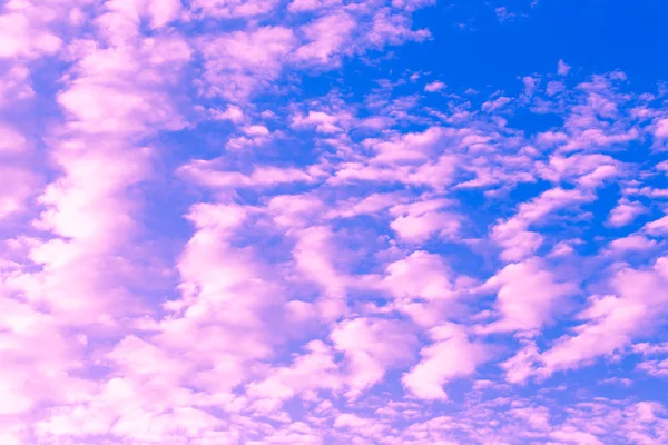 Cielo rosa con sol brillante — Foto de Stock