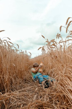 Kirli bir çocuk buğday tarlasında oturup şişeyi içkiyle açmaya çalışıyor. Kırsal alan. Buğday tarlasında çocuk.