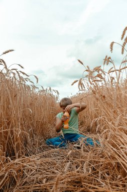 Kirli bir çocuk buğday tarlasında oturup şişeyi içkiyle açmaya çalışıyor. Kırsal alan. Buğday tarlasında çocuk.