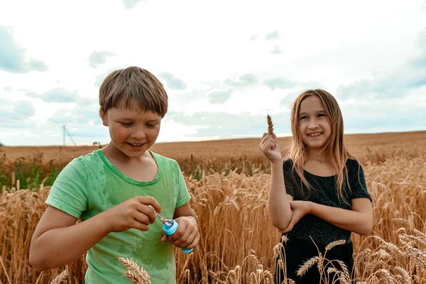Young Boy Girl Blow Bubbles Outdoors Rural Landscape Children Have — Stock Photo, Image