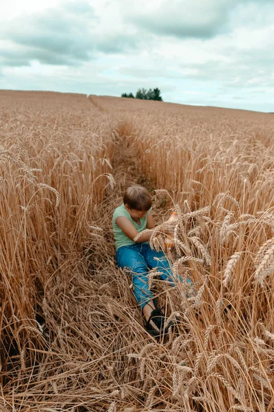 Little Grimy Boy Sits Wheat Field Trying Open Bottle Drink — Stock Photo, Image