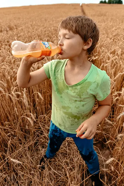 緑のTシャツに身を包んだ12歳の少年が小麦畑に立ちながらドリンクを飲みます 田舎だ — ストック写真