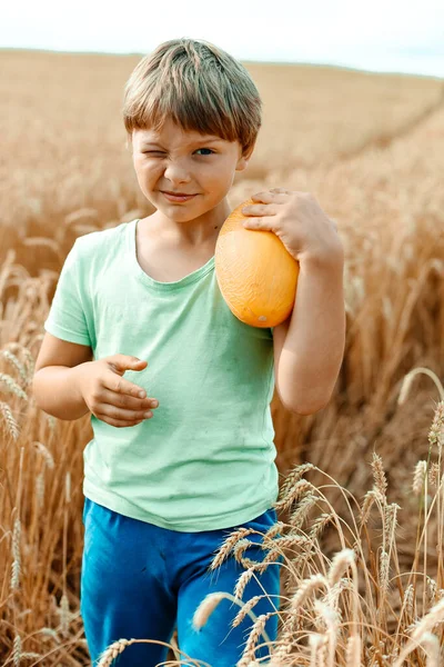 Vista Perto Menino Fica Campo Com Grande Melão Laranja Suas — Fotografia de Stock