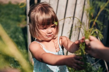 Küçük esmer kız çimenleri elinde tutuyor, annesine yardım ediyor. Tasasız çocukluk. Yaz tatili. Mutluluk ve huzur kavramı.