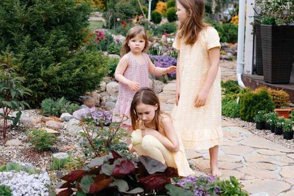 3人の女の子は 背景に花を咲かせるダチャの花壇の花束のために花を選びます 夏休みだ 子供のスタイルとファッションの概念 トーニング — ストック写真