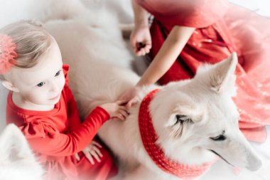 Kırmızı elbiseli iki kız tüylü beyaz bir köpeği okşuyor. Köpekli çocuklar. Mutluluk kavramı. Büyük beyaz köpek..
