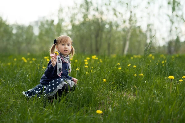 Little Cute Girl Two Tails Blue Dress Sits Meadow Collecting — Stock Photo, Image