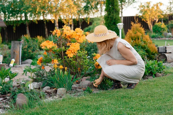 Una Ragazza Dolce Vestito Bianco Cappello Paglia Prende Cura Fiori — Foto Stock