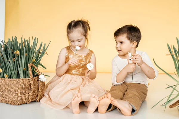 小さな男の子と女の子の床にバスケットに白い花を見て座っている 愛とケアの概念 子供時代の世話 — ストック写真