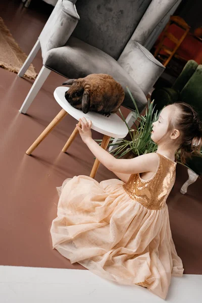 Una Niña Con Vestido Largo Hermoso Acaricia Conejo Que Sienta —  Fotos de Stock