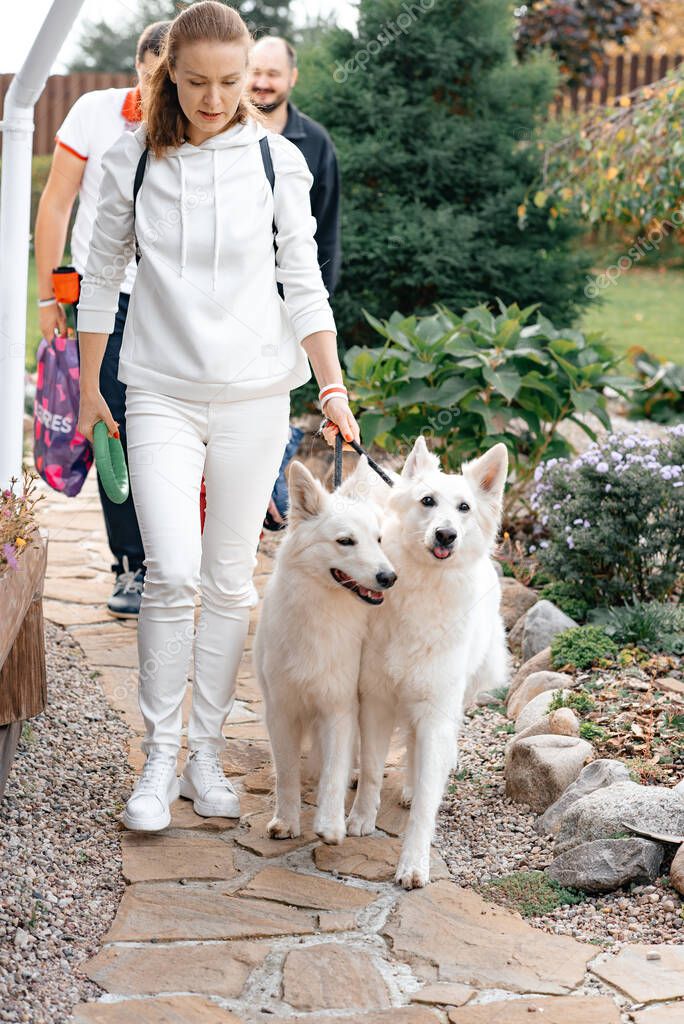A girl in a white tracksuit leads two white dogs on leashes. Big beautiful white dogs.