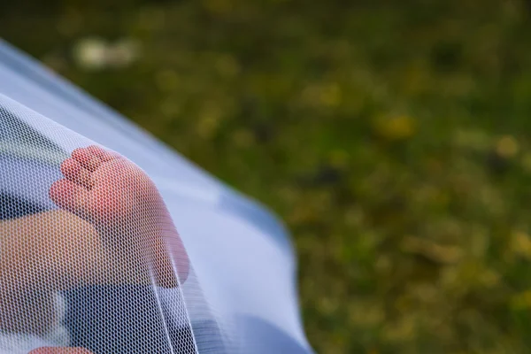 Los pies recién nacidos empujando una mosquitera — Foto de Stock