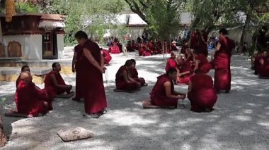 Eğitim acemi monks