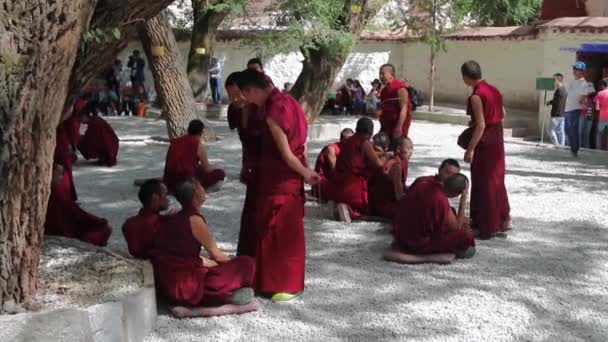 The monks debate in Sera monastery — Stock Video