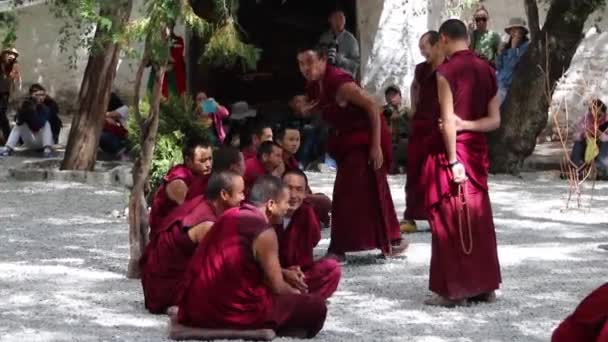 Die Mönchsdebatte in sera monastery 2015 — Stockvideo