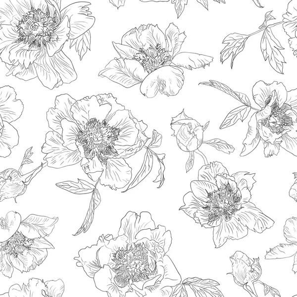 Seamless pattern outline flowers peony, black white background. Peonies monochrome. — Stock Vector