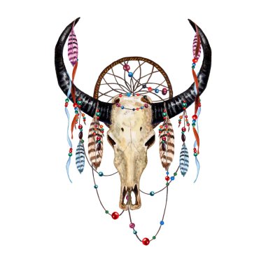 Boğa kafatası ve tüyler.