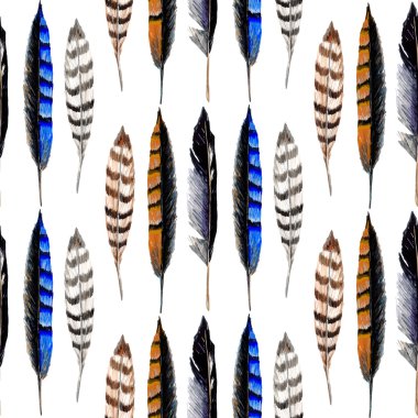 Watercolor Striped Feathers