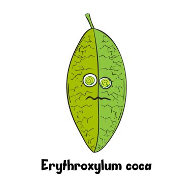 Cartoon Coca Leaf,