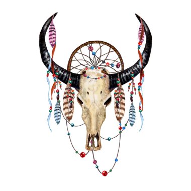 Boğa kafatası ve tüyler.