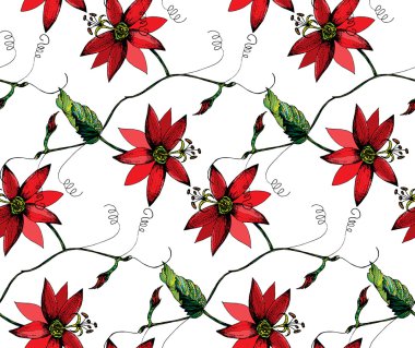 Passiflora flowers pattern