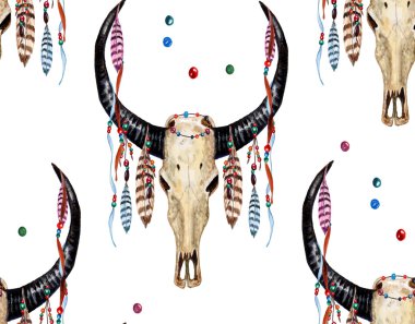 Buffalo Kafatası ve Tüyler i.