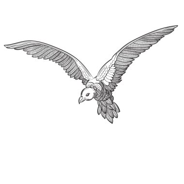 Uçan Güvercin, izole