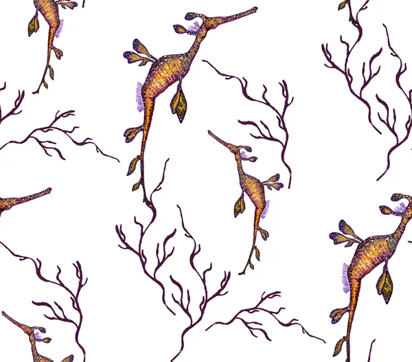 Aquarela Weedy Sea Dragons —  Vetores de Stock