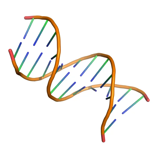 Helix strand model — Stockvector