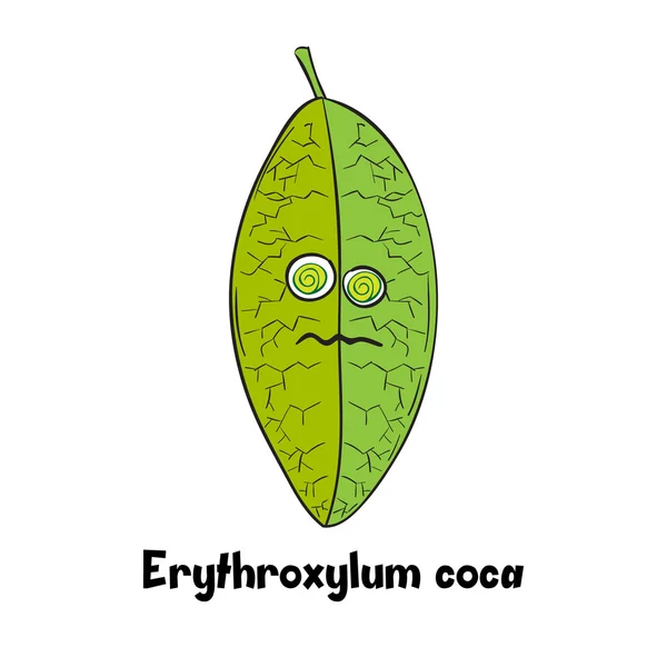 Hoja de coca de dibujos animados , — Vector de stock