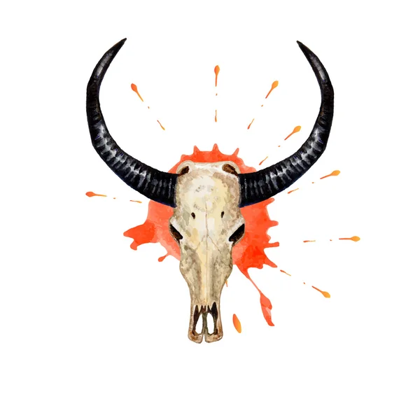 Suluboya buffalo skull — Stok Vektör