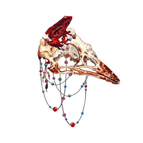 Watercolor Bird Skull — 스톡 벡터