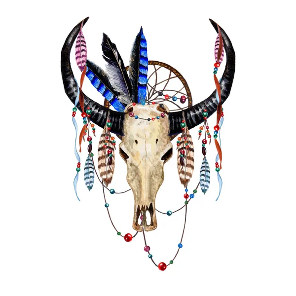 Bull Skull & veren — Stockvector