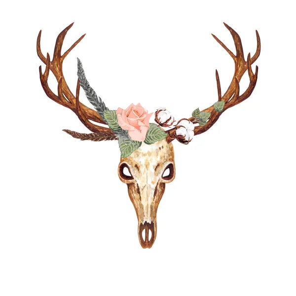 Watercolor Deer Skull — Stock Vector