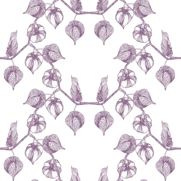 Physalis Sprig motif sans couture — Image vectorielle