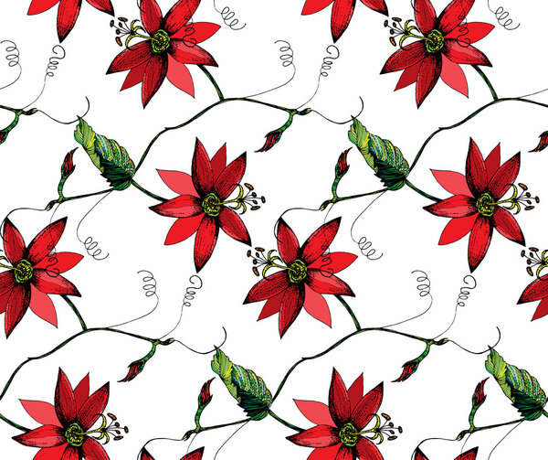 Passiflora flowers pattern
