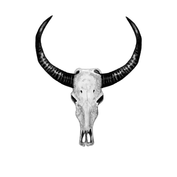 Bull schedel zwart-wit. — Stockvector