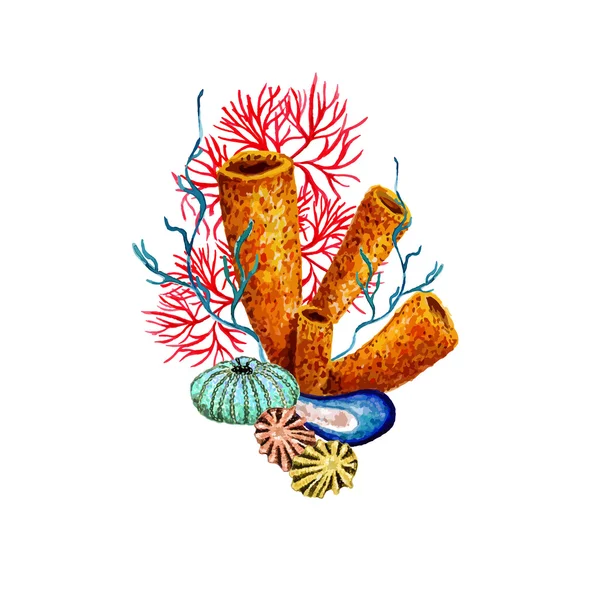 Aquarell Schwamm, Koralle — Stockvektor